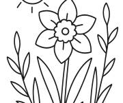 Coloriage Le champ des jonquilles adore les rayons du soleil