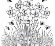 Coloriage Les abeilles qui volent parmi les jonquilles