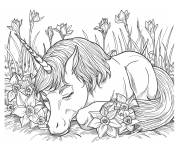 Coloriage Licorne dans le champ de Jonquille