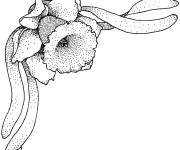 Coloriage et dessins gratuit Narcisse d&eacute;taill&eacute; à imprimer