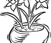 Coloriage et dessins gratuit Vase de Jonquilles à imprimer
