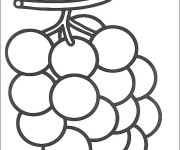 Coloriage et dessins gratuit Fruit Raisin à imprimer