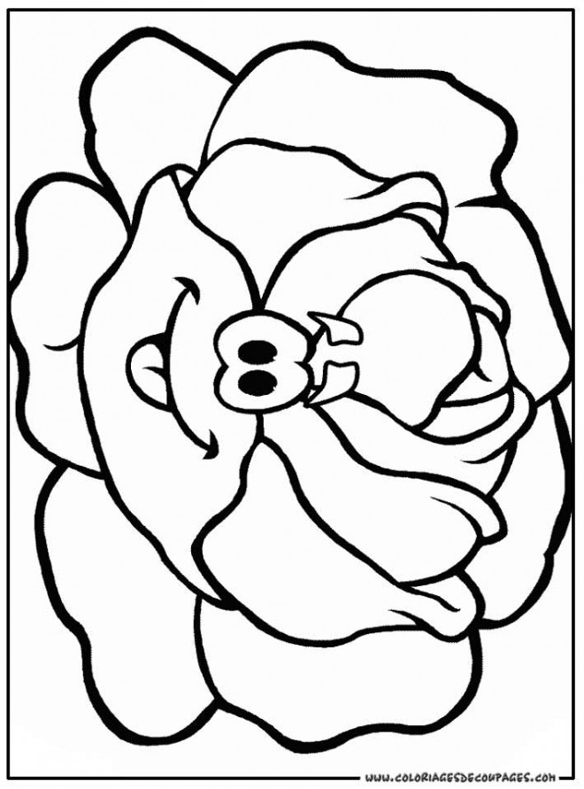 Coloriage Légume Chou rigolo dessin gratuit à imprimer