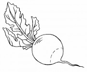 Coloriage L&eacute;gume Radis facile
