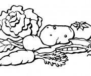 Coloriage L&eacute;gumes Potager