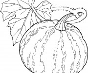Coloriage Melon d'eau