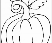 Coloriage Plante Citrouille g&eacute;ante