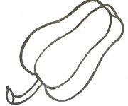 Coloriage Poivre &eacute;pic&eacute;