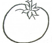 Coloriage Tomate rouge