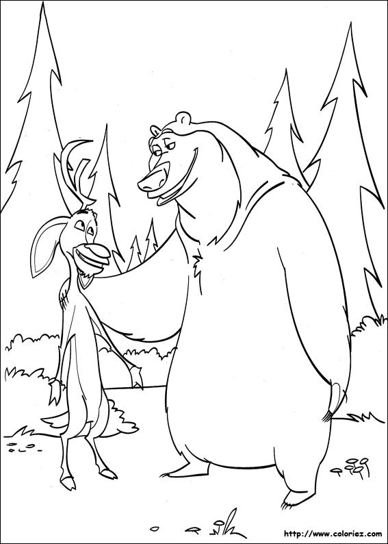 Coloriage et dessins gratuits Cerf et Ours dans la forêt à imprimer