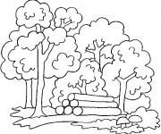 Coloriage et dessins gratuit Forêt couleur à imprimer