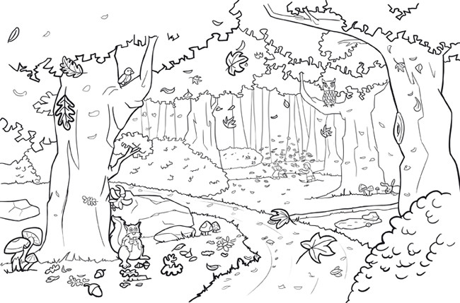Best Coloriage Animaux De La Foret