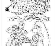 Coloriage H&eacute;risson en famille dans La for&ecirc;t