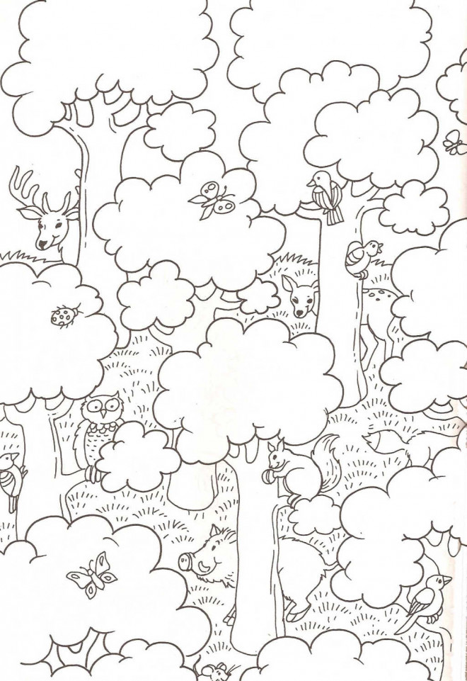 Coloriage La forêt et les animaux pour enfant