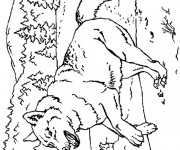 Coloriage Le loup Forêt