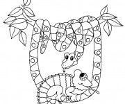 Coloriage le Serpent dans la for&ecirc;t