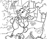 Coloriage Li&egrave;vre dans La for&ecirc;t