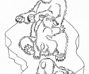 Coloriage Ours en famille de for&ecirc;t