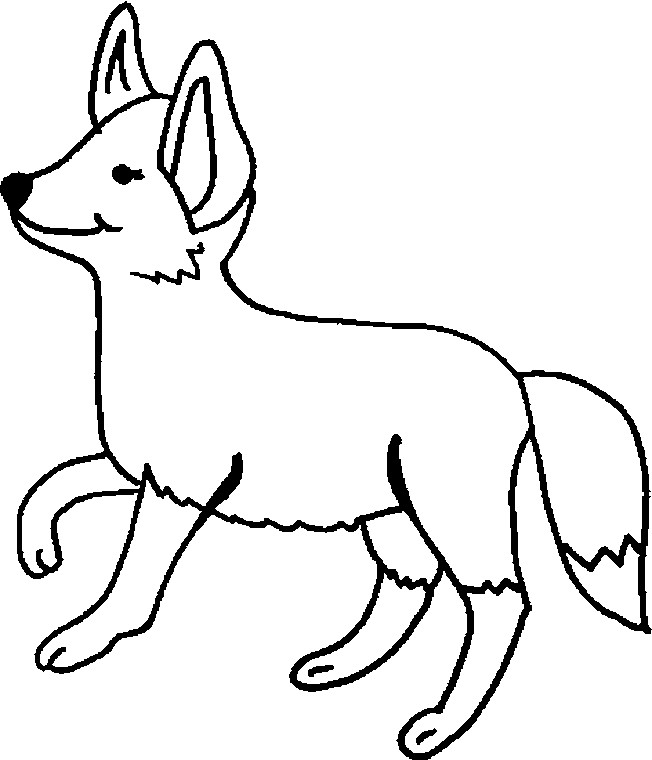 Coloriage La foret gratuit à imprimer