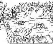 Coloriage Canard sur Lac