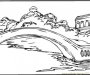 Coloriage Pond sur Le Lac