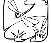 Coloriage Libellule 24