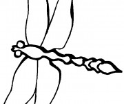 Coloriage Libellule 25