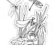 Coloriage Libellule 26