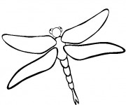 Coloriage Libellule 30