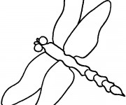 Coloriage Libellule 32