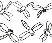 Coloriage Libellule 33
