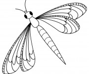 Coloriage Libellule 34