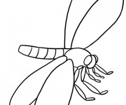 Coloriage Libellule 35