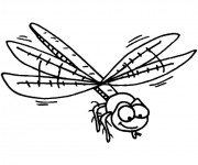 Coloriage Libellule 40