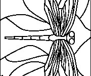 Coloriage Libellule 45