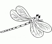 Coloriage et dessins gratuit Libellule 5 à imprimer