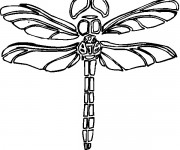 Coloriage Libellule 52
