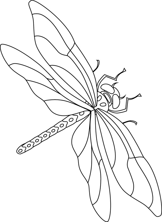 Coloriage D Insectes A Imprimer