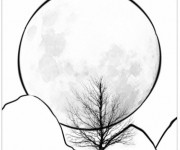 Coloriage Pleine Lune