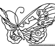 Coloriage admirable Papillon qui vole dessin gratuit à imprimer