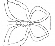 Coloriage Beau Papillon