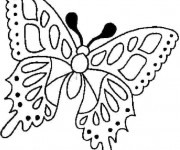 Coloriage Le Papillon en toute beaut&eacute;