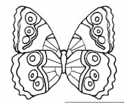 Coloriage et dessins gratuit Magnifique Papillon à décorer à imprimer