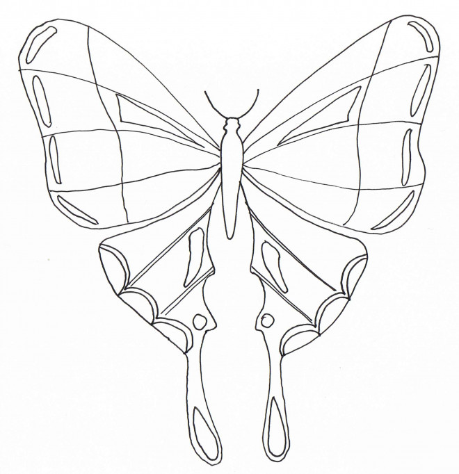 Coloriage et dessins gratuits Magnifique Papillon Insecte à imprimer
