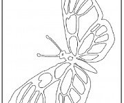 Coloriage Magnifique Papillon ouvrant ses ailes