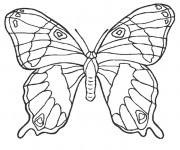 Coloriage Magnifique Papillon stylisé