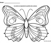 Coloriage Papillon splendide
