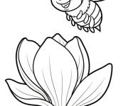 Coloriage Abeille sur fleur Magnolia