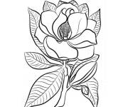 Coloriage Aimable de Magnolia