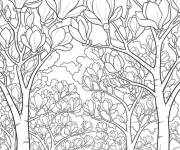 Coloriage Arbres de Magnolia